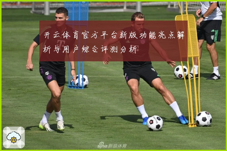 开云体育官方平台新版功能亮点解析与用户综合评测分析